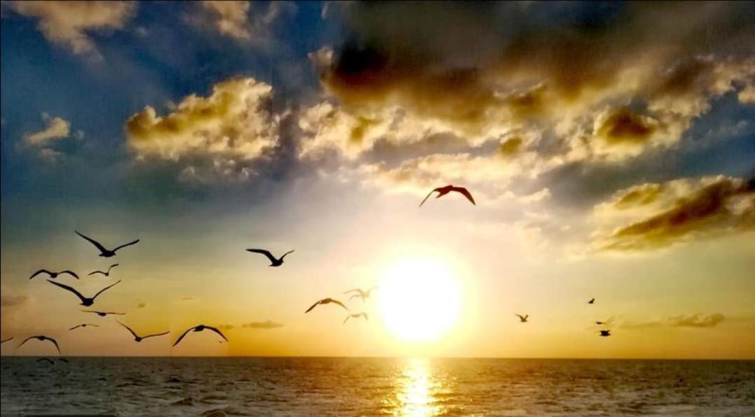 Appartamento Lido San Giovanni Gallipoli Bagian luar foto