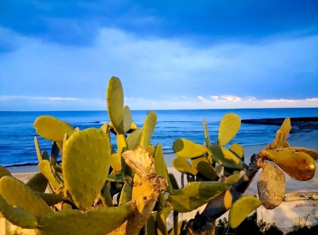 Appartamento Lido San Giovanni Gallipoli Bagian luar foto